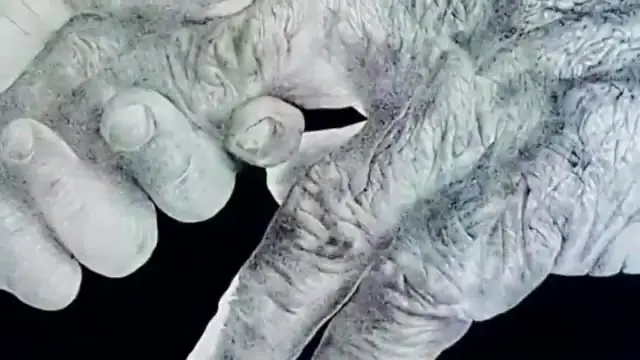 Mani disegnate a matita